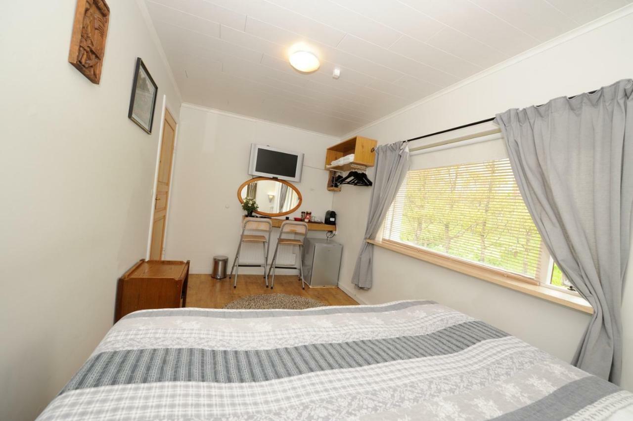 Dream Guesthouse Vik Dış mekan fotoğraf
